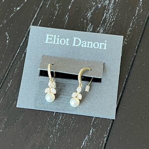 Eliot Danori Earrings
